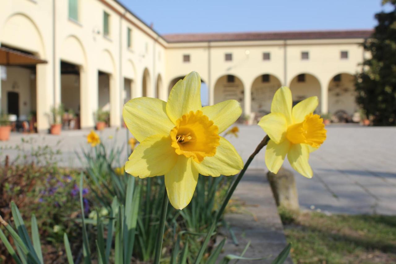 Agriturismo Corte Carezzabella San Martino di Venezze Екстер'єр фото