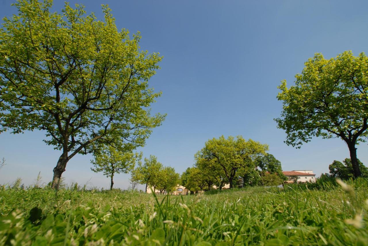 Agriturismo Corte Carezzabella San Martino di Venezze Екстер'єр фото